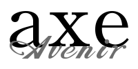 Avenir axe